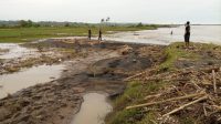 Abrasi, Puluhan Hektar Lahan Pertanian Di Tegalbuleud Terendam