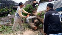 Pohon Besar Timpa Motor dan Bangunan di Sukaresmi