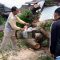 pohon besar menimpa satu unit motor