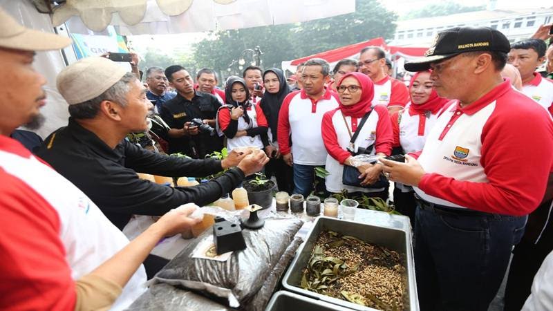 Bandung