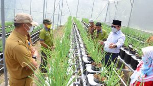 Pemkot Sukabumi Miliki Screen House Hidroponik