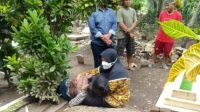 Gadis Korban Dugaan Pemerkosaan Polisi Ditemukan Tewas di Makam Ayahnya, Savenoviawidyasari Trending
