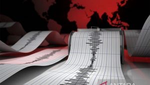 Pagi ini, Jayapura Papua Diguncang Gempa Magnitudo 4,2