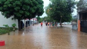 Banjir Jember Tewaskan 1 Orang