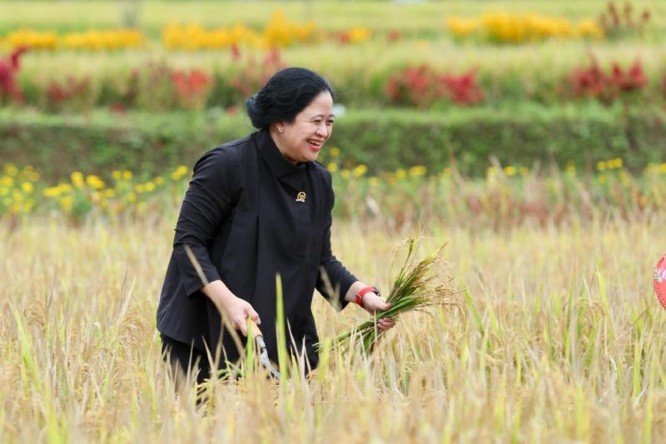 Puan Maharani