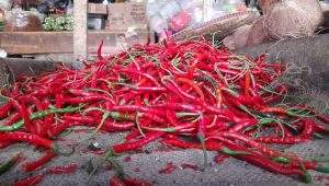 Cabe Merah Besar Tembus Rp48 Ribu