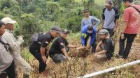 LSM Dampal Jurig Jabar Tanam Ribuan Pohon