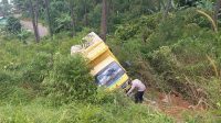 Tidak Kuat Nanjak di Nyalindung Sukabumi, Truk Masuk Jurang