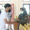 pasar murah bandung barat