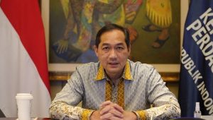 Kedelai Langka Akibat Babi China, Anthony Budiawan: Siapa yang Kasih Data Menyesatkan ke Mendag?