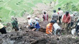 160 Hektare Pesawahan di Gegerbitung Sukabumi Terancam Gagal Panen