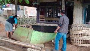 Polsek Sagaranten Sukabumi Grebek Arena Judi Sabung Ayam