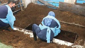 Polda Sumut Bongkar Makam Korban Kerangkeng Manusia, Cari Bukti Penganiayaan yang Berujung Kematian