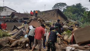 Enam Warga Desa Sirnaresmi Sukabumi Tertimpa Pohon Tumbang, Begini Kondisinya 