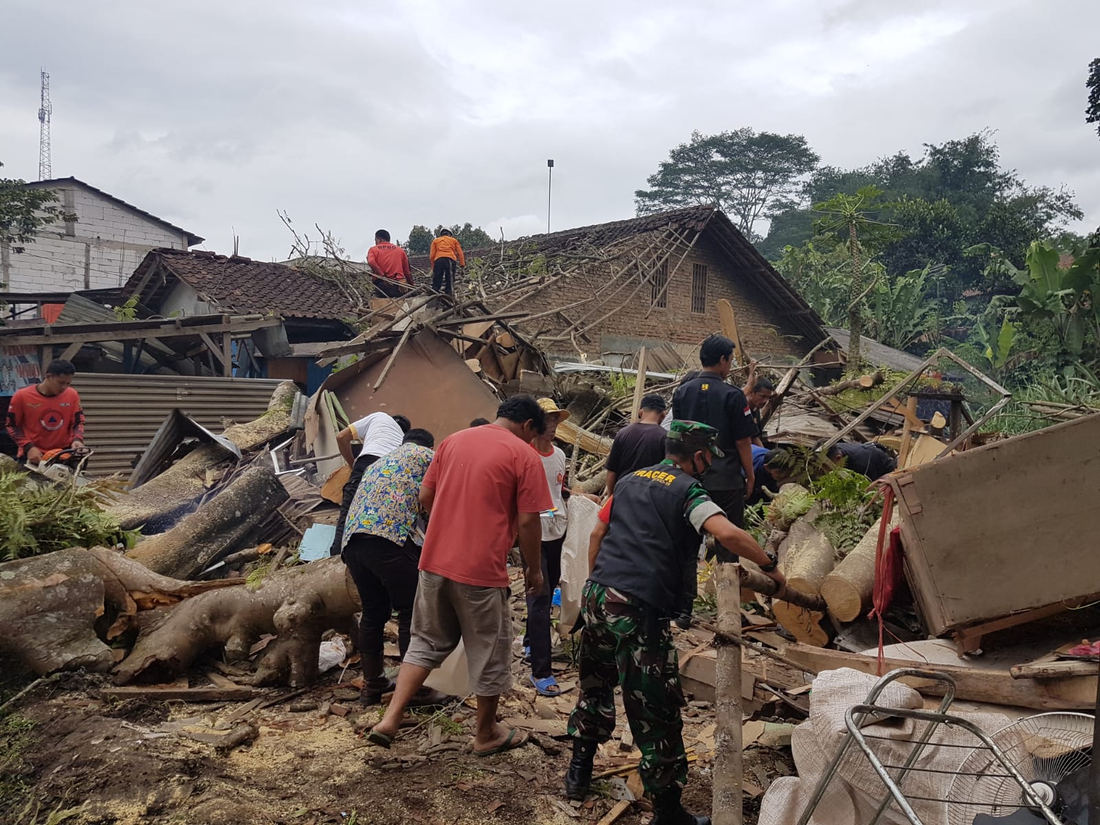 pohon tumbang di ruas Jalan Raya Panggeleseran
