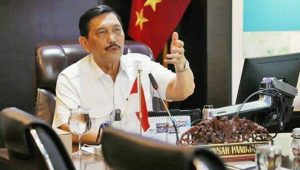 PT PLN Pastikan Kompor Listrik Dibatalkan, Luhut : Tetap Lanjut!