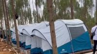 Amankan Kemah Jokowi di IKN, Paspampres Tabur Garam, Ini Tujuaannya