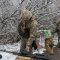 Ukraina