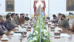 Temui Jokowi, Aktivis Cipayung Plus Beri Dukungan untuk IKN, Ini Alasannya
