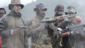 Berulah, KKB Papua Bantai Delapan Warga Sipil Tak Berdosa