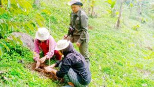 Mahasiswa KKN Nusa Putra Hijaukan Gunung Cupu