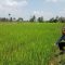 BPP Kecamatan Kebonpedes
