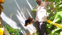 Alfamart Cireunghas Sukabumi Dibobol Maling, Begini Peryataan Polisi