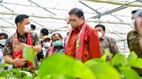 Menko Airlangga Sebut Reforestrasi Dorong Akselerasi Pertumbuhan Green Economy