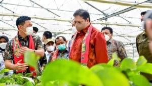 Menko Airlangga Sebut Reforestrasi Dorong Akselerasi Pertumbuhan Green Economy
