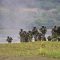 Prajurit Kostrad