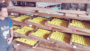 Harga Kedelai Meroket, Pungusaha Tahu Turun Omset