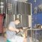 servis jok motor