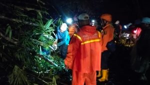 Jalan Sukabumi-Bogor Tertutup Longsor, Begini Kondisinya 