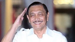 Demokrat : Luhut Wajib Jelaskan Soal Big Data, Kalau Tidak Bakal Dicap Ini