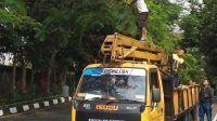 DPUTR Kota Sukabumi Rutin Pemangkasan, Antisipasi Pohon Tumbang