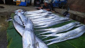 Harga Aneka Ikan di Sukabumi Naik Jelang Lebaran