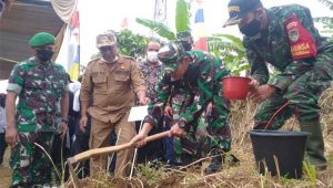 Danramil Jampangtengah Pelopori Reboisasi di Desa Panumbangan