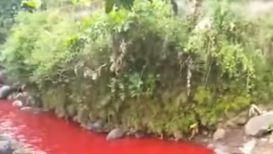 Gawat, Air Sungai Citarum Mendadak Berwarna Merah, Penyebabnya