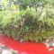 Air Sungai Citarum Mendadak Berwarna Merah