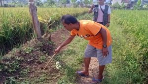 Geger, Warga Cianjur Temukan Janin Bayi di Pematang Sawah, Oh Ternyata