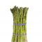 Asparagus