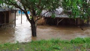 Tiga Rumah di Ciemas Sukabumi Kembali Terendam Banjir, Begini Kondisinya