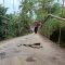 Jembatan Gantung Cipelang Sukabumi