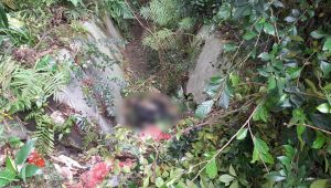 Mayat Seberang Istana Bogor, Polisi Temukan Bekas Gigitan Hewan