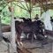 Ternak Sapi Sukabumi
