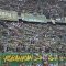 Final pertama Bajul Ijo-julukan Persebaya