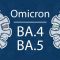 Ilustrasi subvarian Omicron BA.4 dan