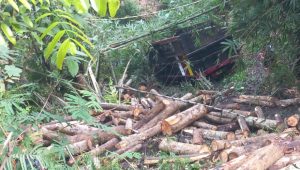Ngaku Dicegat Kuntilanak, Truk Bermuatan Kayu di Jampangtengah Masuk Jurang