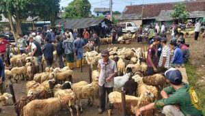 Wow! Dua Pasar Hewan di Sukabumi Hadirkan Cuan Sebesar Rp45 Milyar