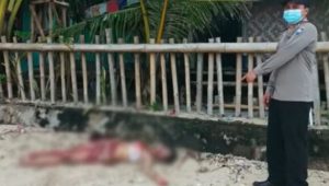 Terkuak, Dua Mayat wanita di Ujung Genteng Sukabumi Ternyata Bos Cafe dan PL, Ini Identitasnya